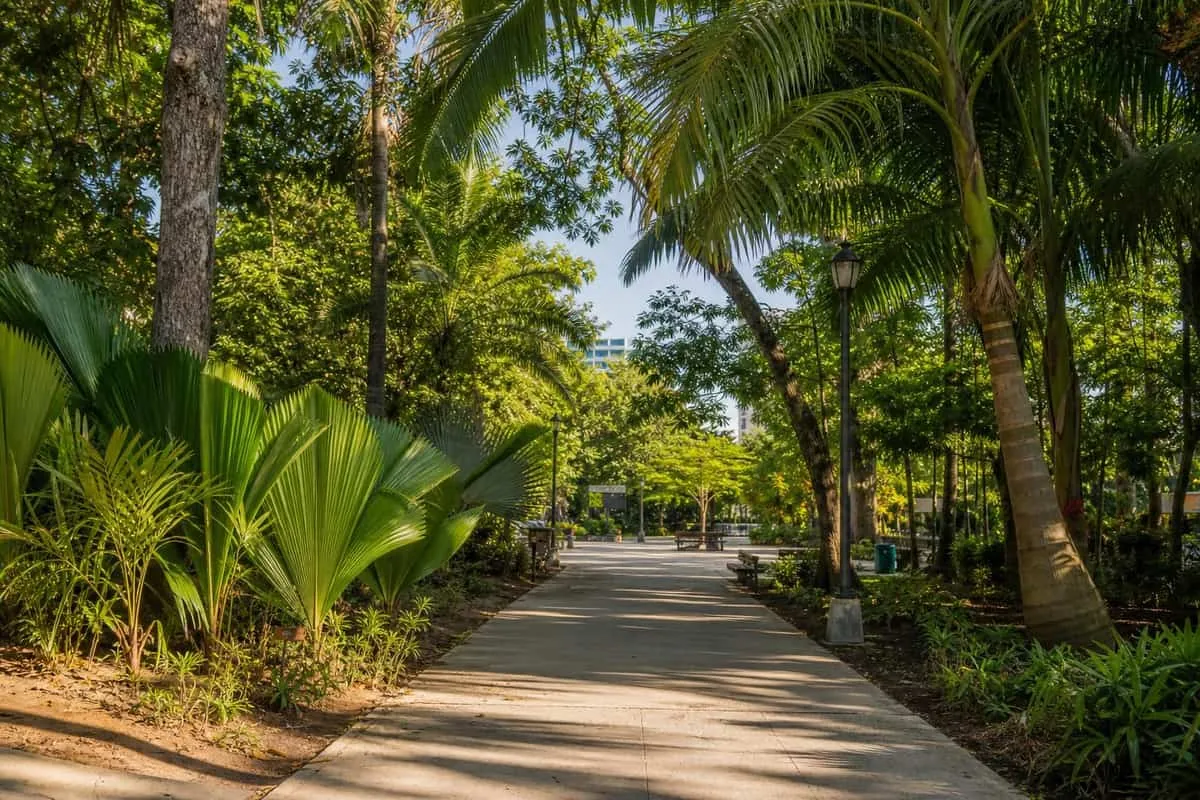 Leafy Villahermosa park path during warm March dry-season weather in Tabasco