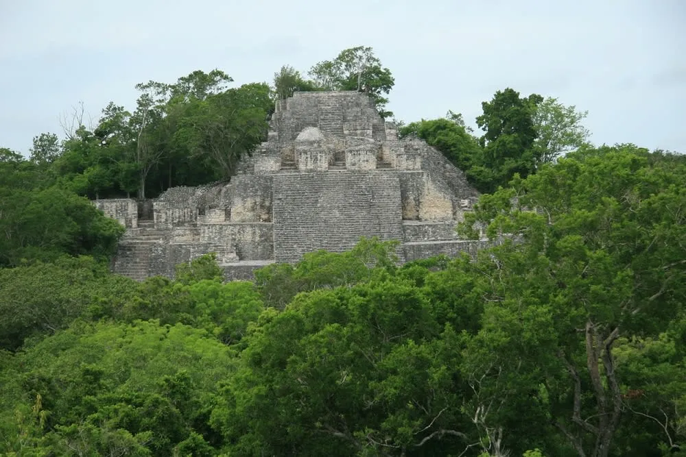 Calakmul ruins surrounded by dense Campeche jungle