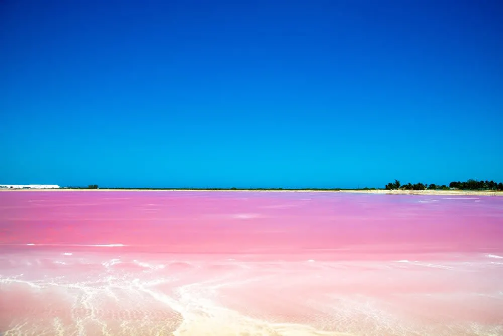 Pink salt lagoons at Las Coloradas in Yucatan
