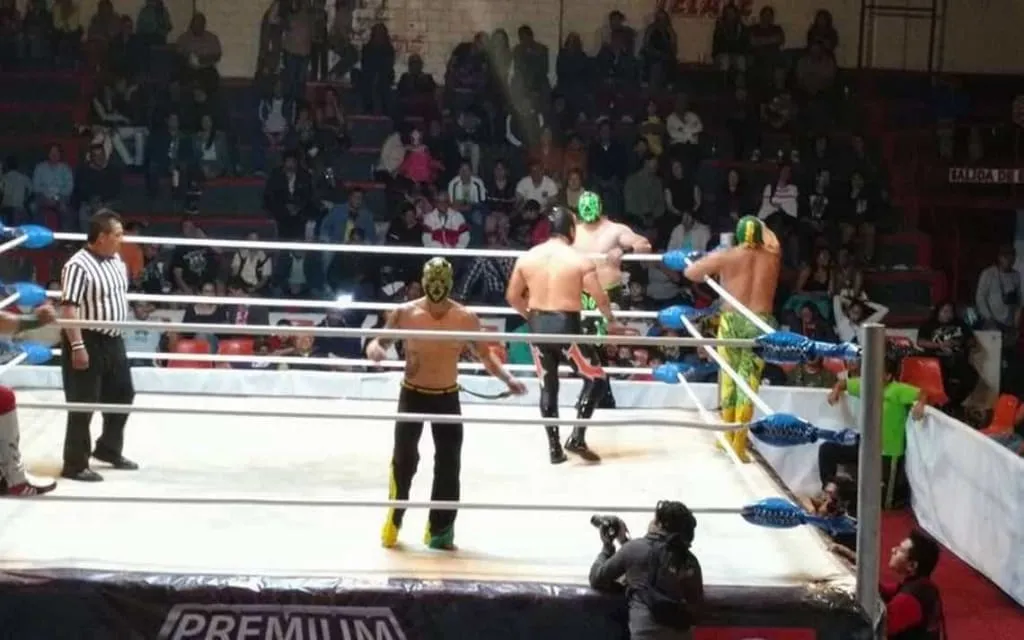 Crowd watches masked wrestlers perform inside Arena Lopez Mateos