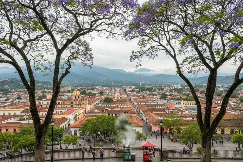 Green hills and central streets in Xalapa under soft Veracruz highland light