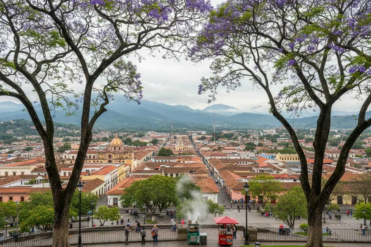 Xalapa in March: Weather, Coffee & Travel Tips