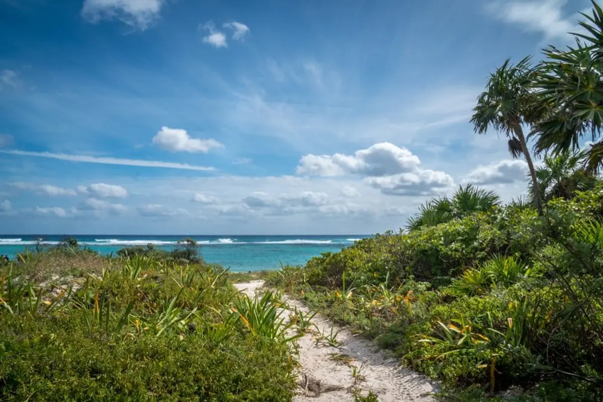 Xcacel Beach&#8217;s Hidden Treasure: The Stunning Cenote Within