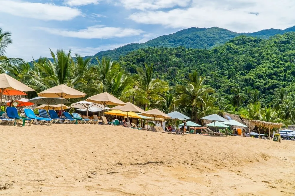 Palm-roof seafood palapas and small boats lined along a wide sandy cove