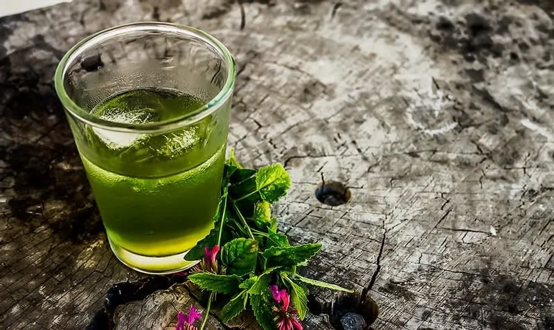 Yolixpa herbal liqueur in Cuetzalan during a November Sierra Norte trip