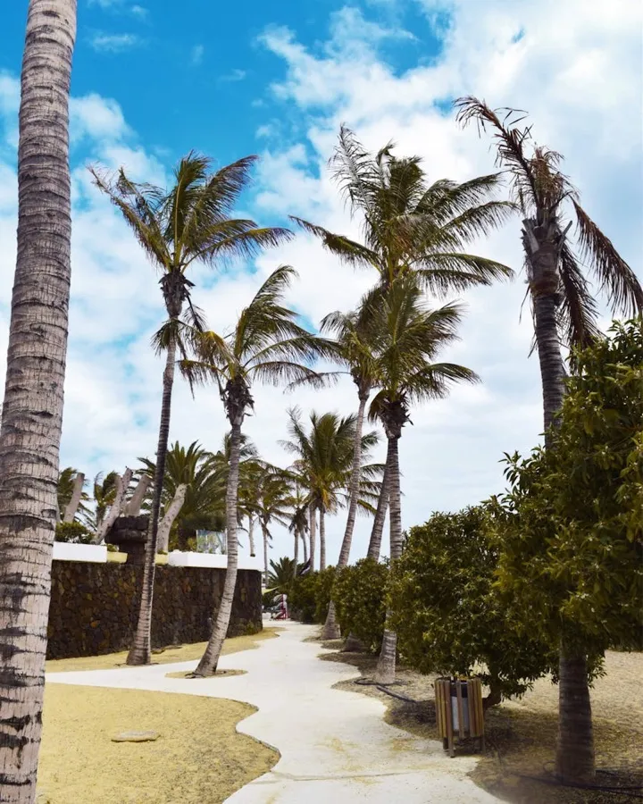 Puerto Vallarta Nightlife Guide 2026: Best Bars, Clubs & Party Areas