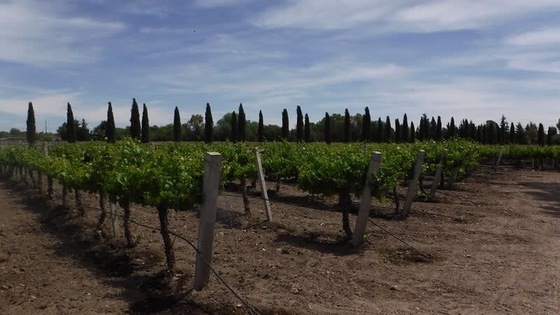 aguascalientes mexico