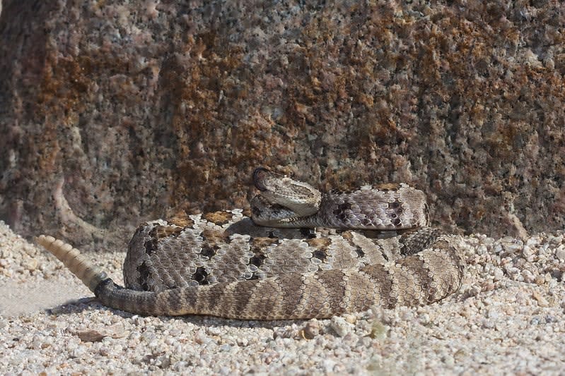 la paz baja california sur