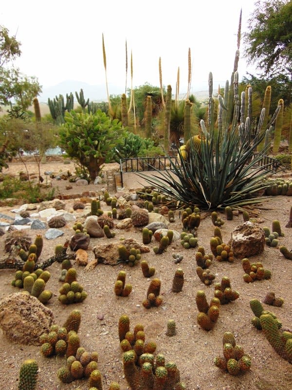 botanical garden queretaro