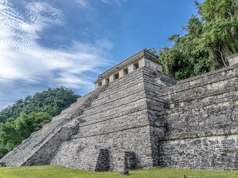 Jungle lodge with thatched roof surrounded by lush tropical vegetation in Chiapas