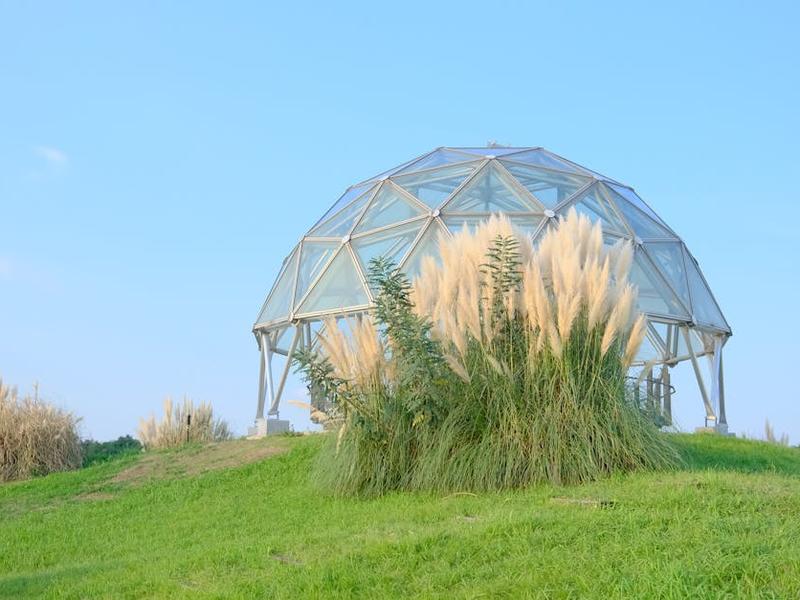 Eco-friendly lodge with solar panels and rainwater collection system in Mexican forest