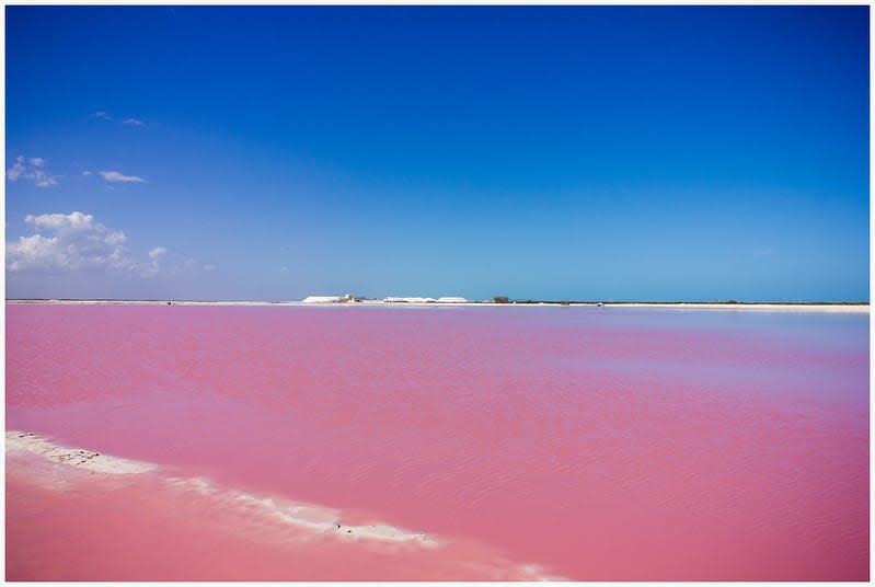 Bright pink lake under a blue sky