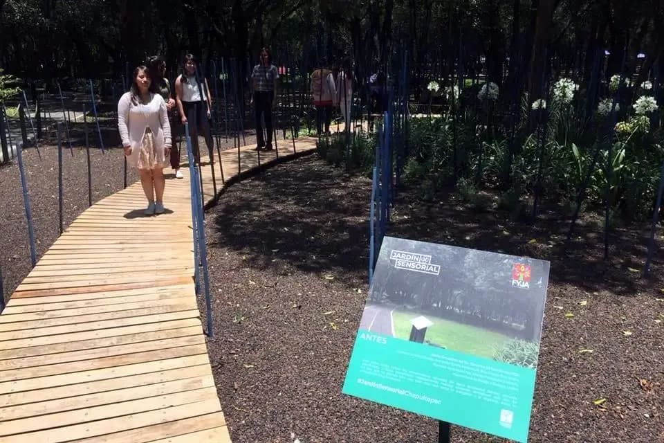 sensorial garden — Chapultepec Park, Mexico City