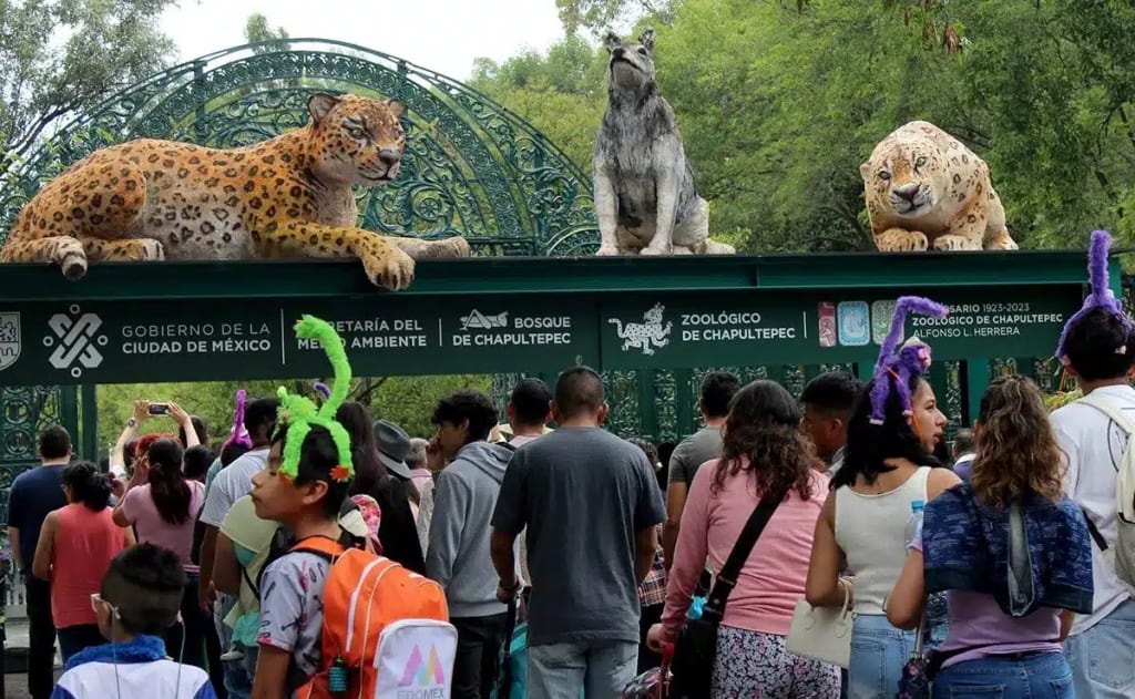 Chapultepec Park Zoo Mexico