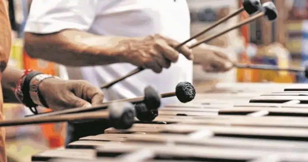 marimba playing — Chiapa De Corzo And Sumidero Canyon