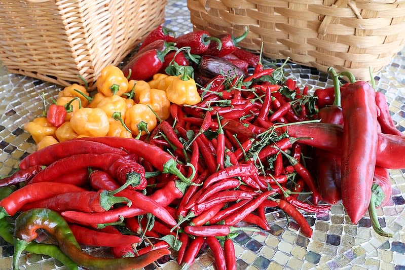 mexican chiles — Chile Relleno Recipes