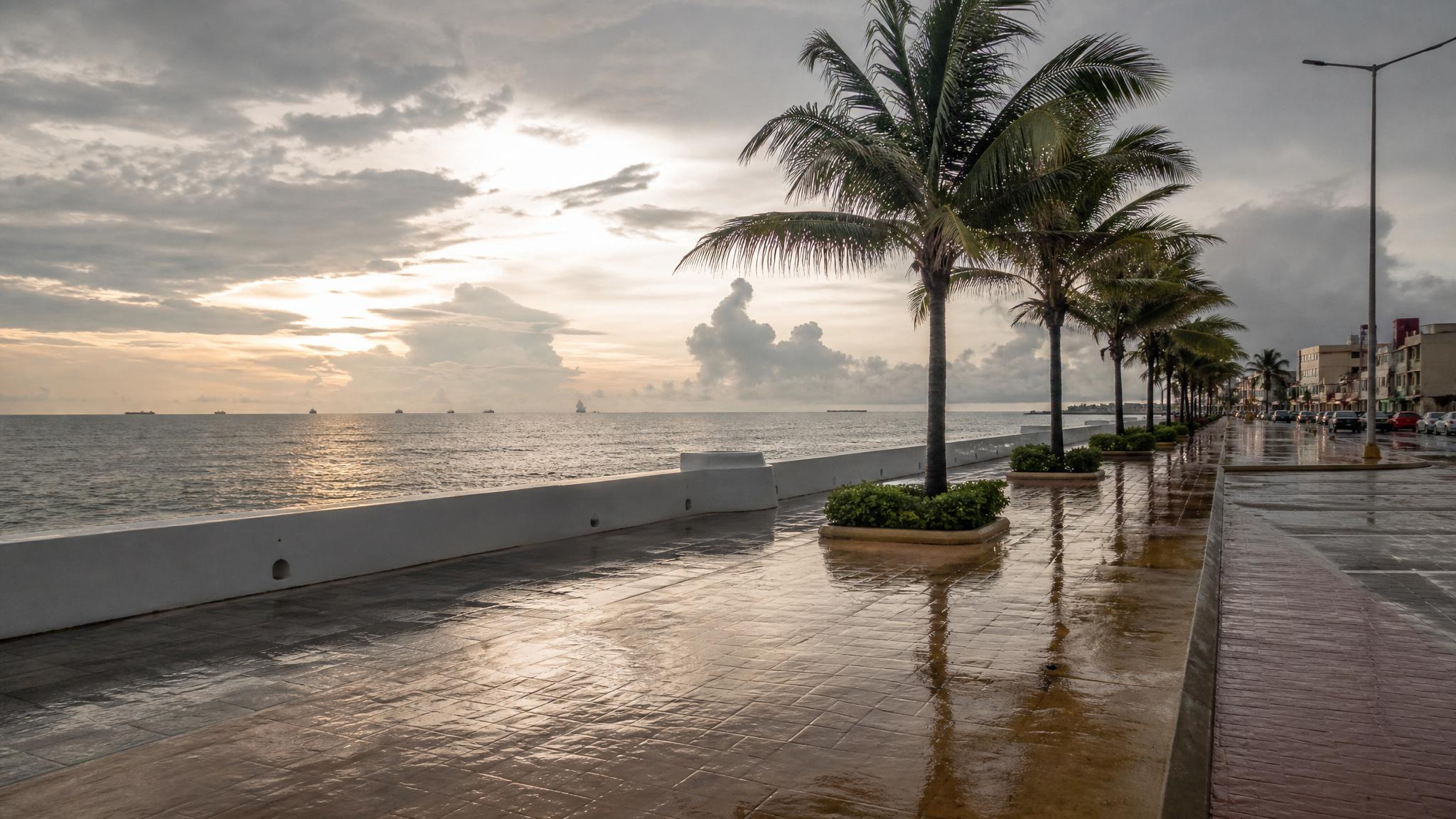 Coatzacoalcos malecon after an August rain shower with Gulf clouds, palms, and wet pavement