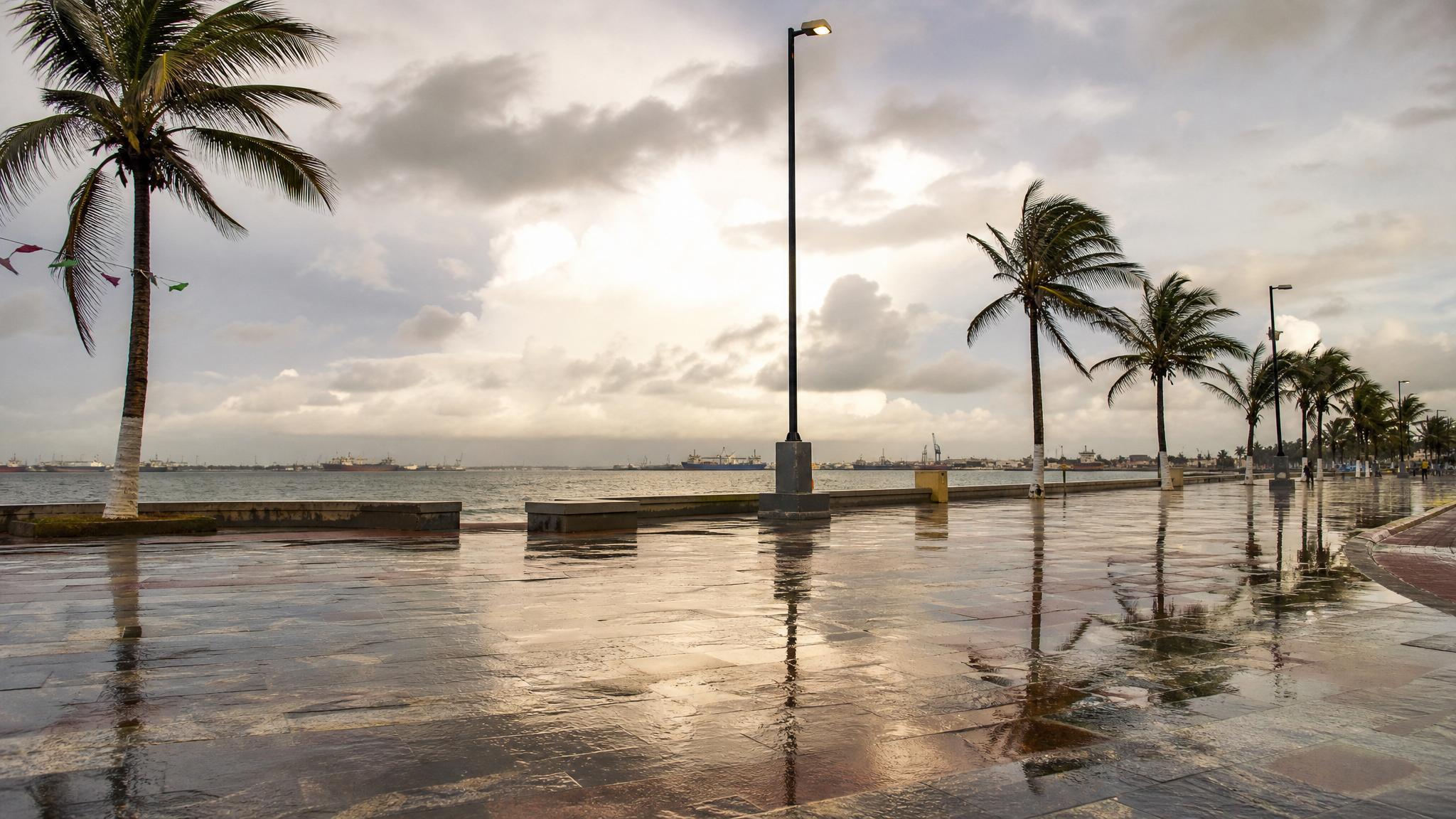 Coatzacoalcos malecon after a September rain shower with Gulf clouds, palms, and wet pavement