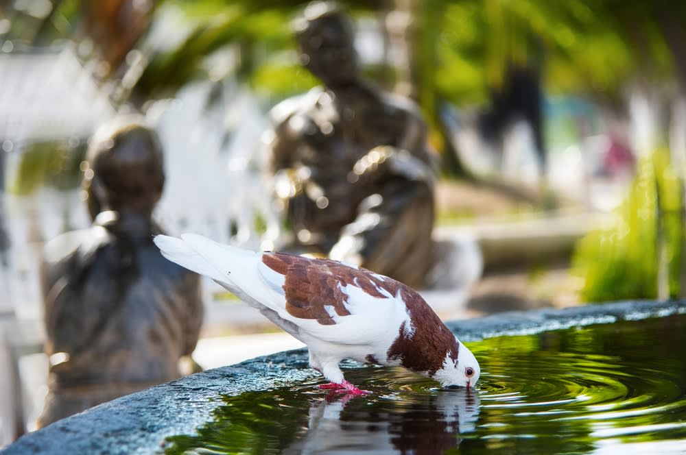 Comala Colima — Comala Colima Magical Town