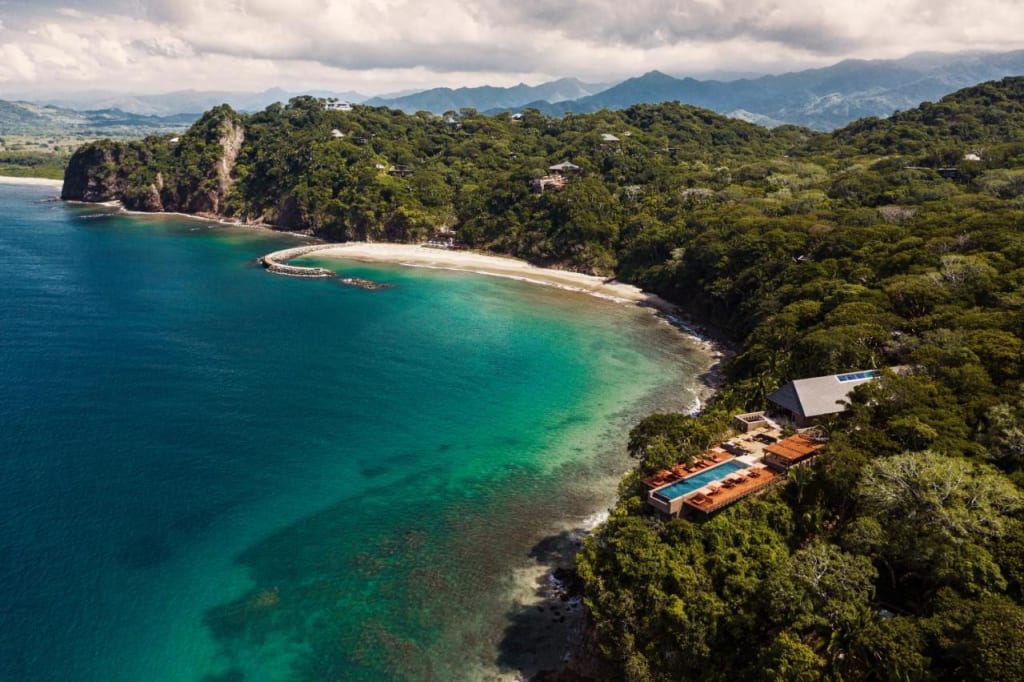 one and only mandarina