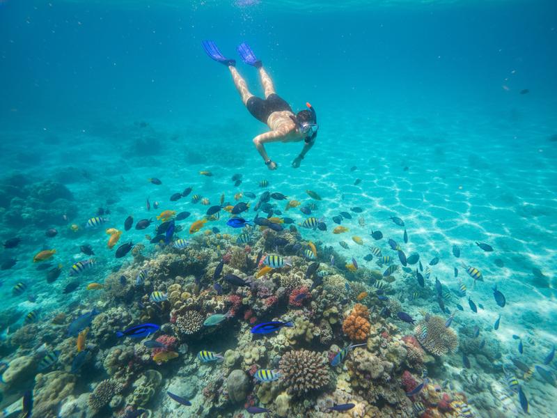 Clear shallow water at a west coast Cozumel beach club