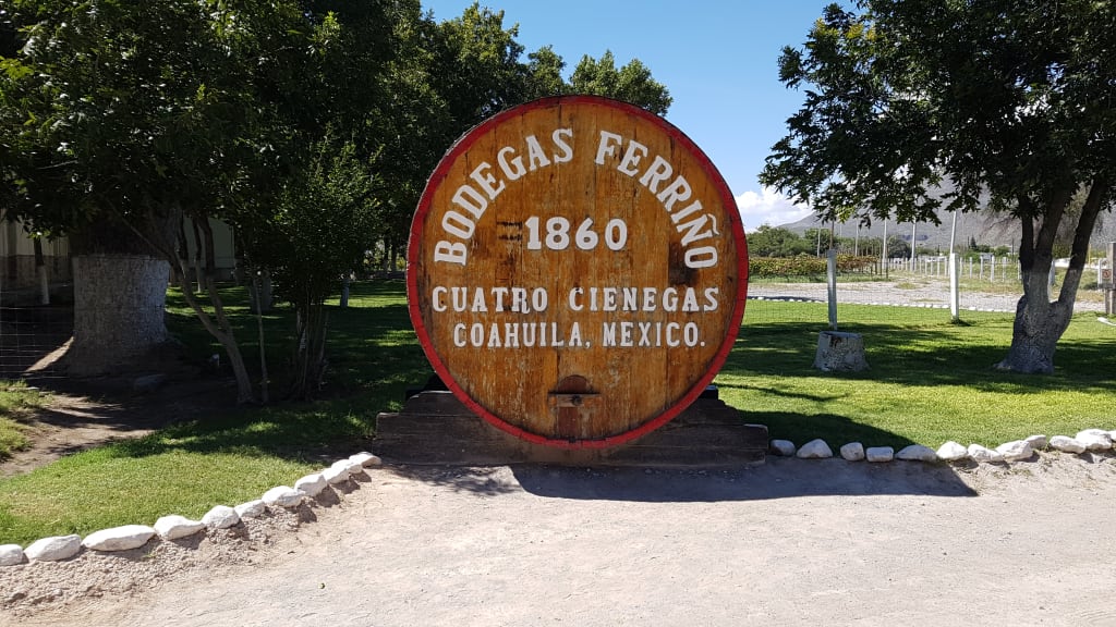 bodegas ferrino wine