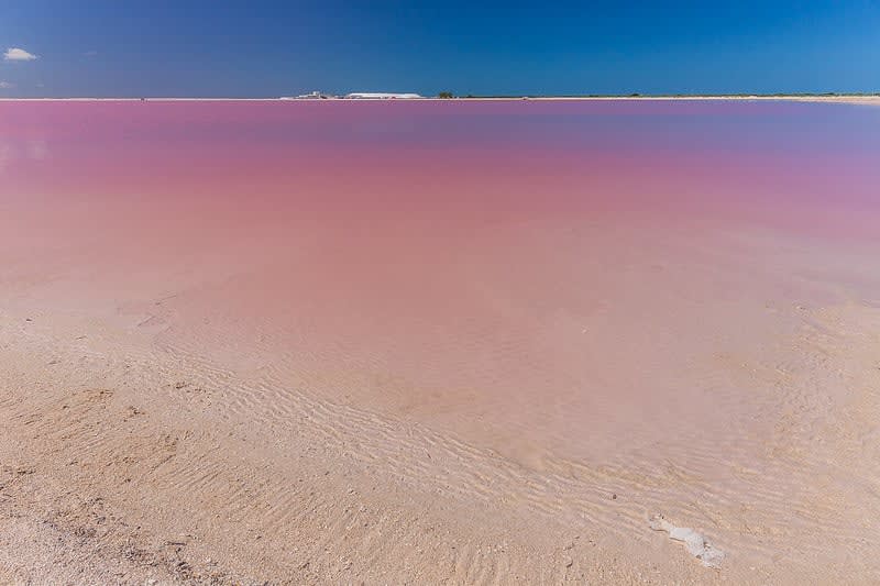 el cuyo yucatan — El Cuyo Yucatan Mexico