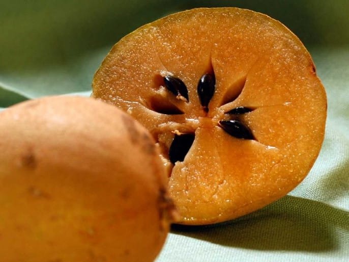 Fruits From Mexico Chicozapote