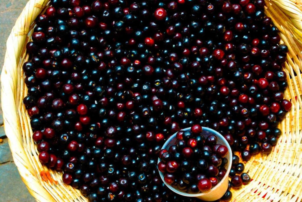 fruits of mexico — Fruits From Mexico