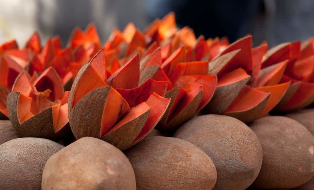 fruits of mexico — Fruits From Mexico