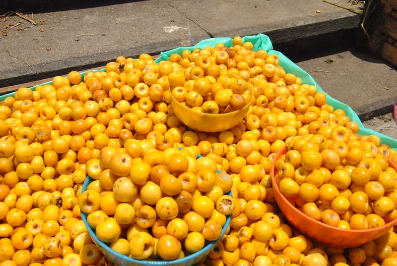 nanches — Fruits From Mexico