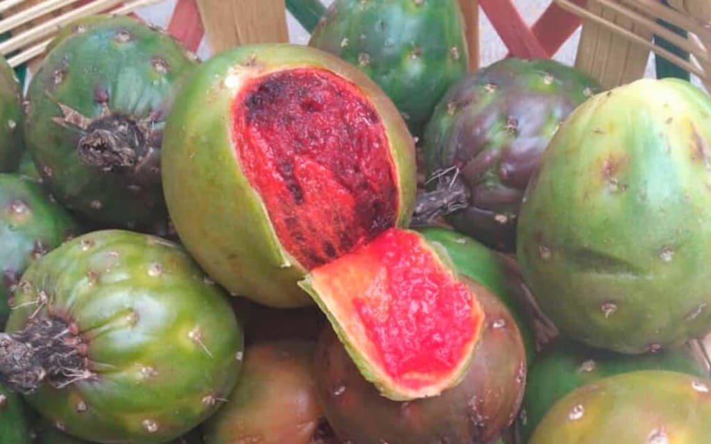 xoconostle — Fruits From Mexico