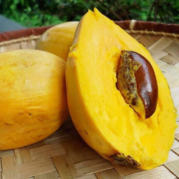 fruits of mexico — Fruits From Mexico