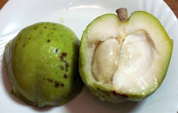 fruits of mexico — Fruits From Mexico