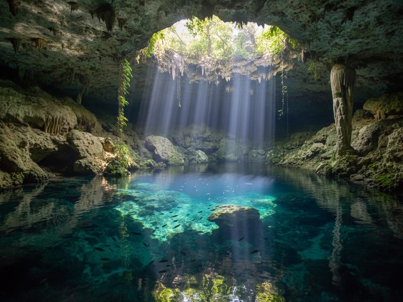 Inside the cave section of Gran Cenote Tulum Mexico with stalactites at water level and snorkeler