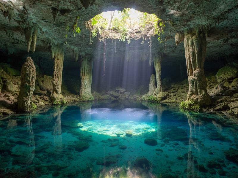 Freshwater turtle swimming with snorkeler in Gran Cenote Tulum Mexico in clear turquoise water