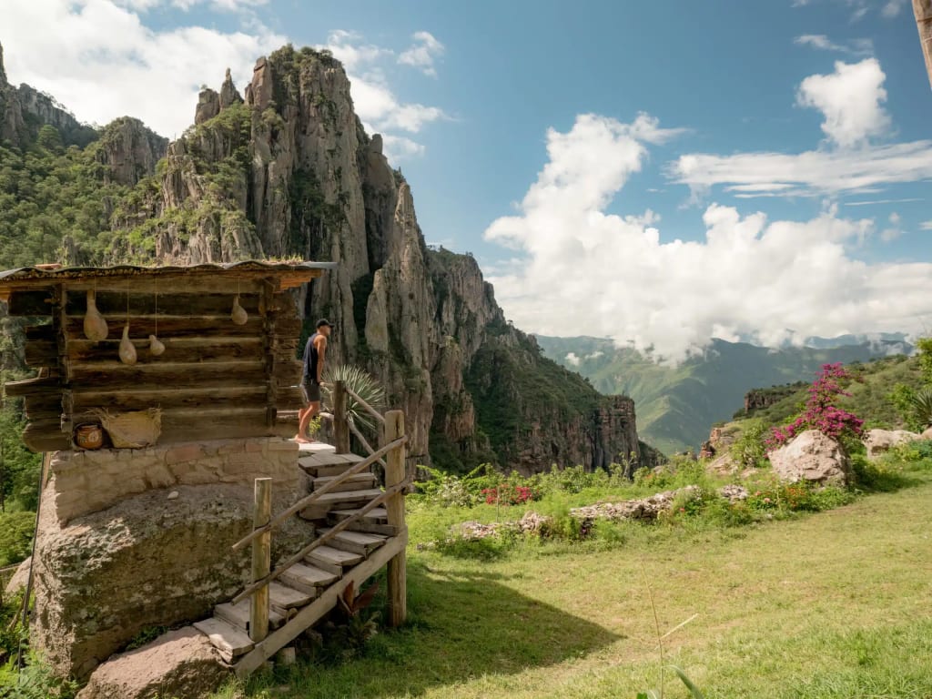 Kokoyome ecotourism park in Guachochi with dense pine forest, alcatraz, avocado, and orange trees