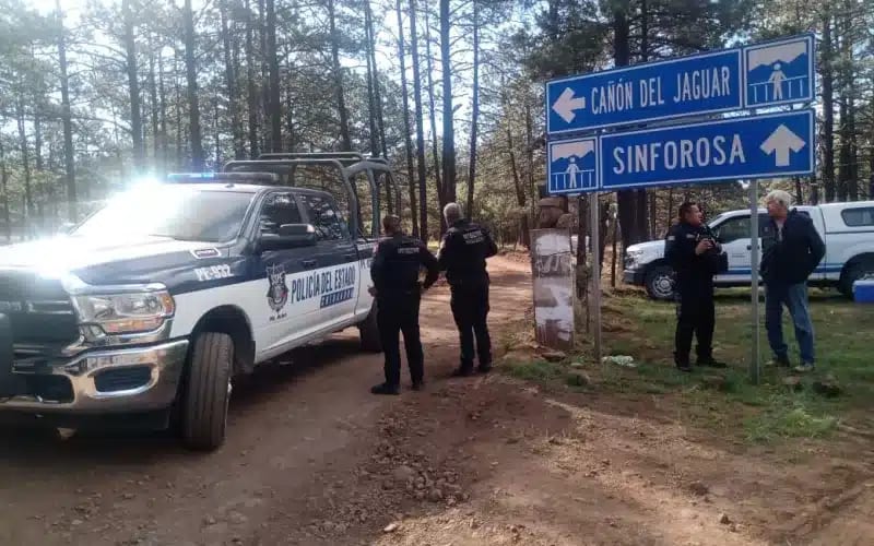 La Sinforosa canyon system in Guachochi with dramatic 1,840m deep ravines and pine forest landscape in the Sierra Tarahumara