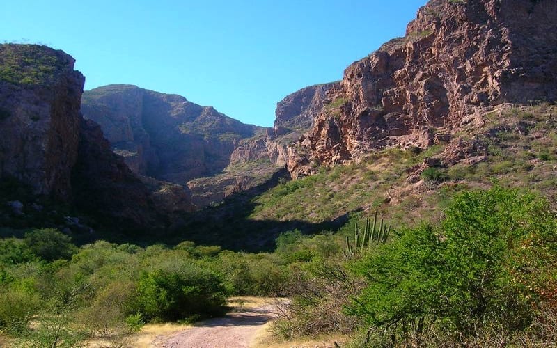 Nacapule Canyon palms and red rock outside San Carlos during a December Sonora coast trip