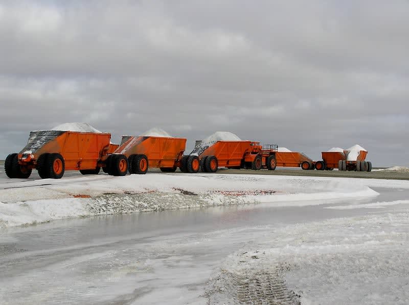 guerrero negro bcs — Guerrero Negro Travel Guide