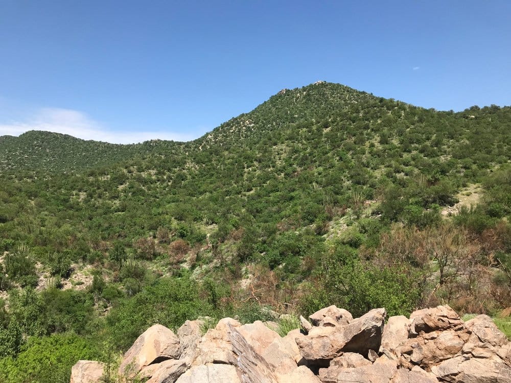 cerro bachoco sonora