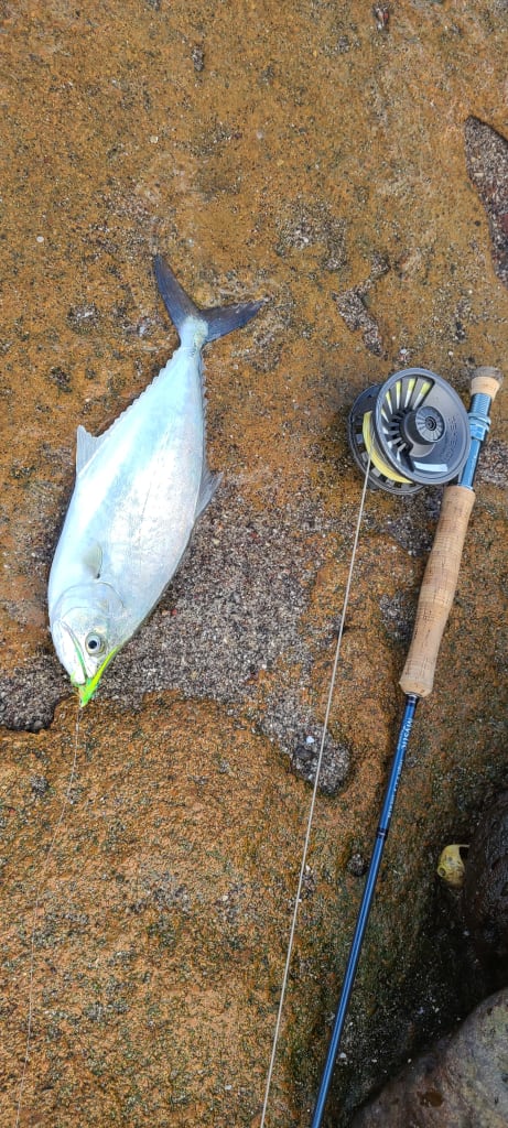 fishing in baja — How To Plan A Baja Fishing Trip