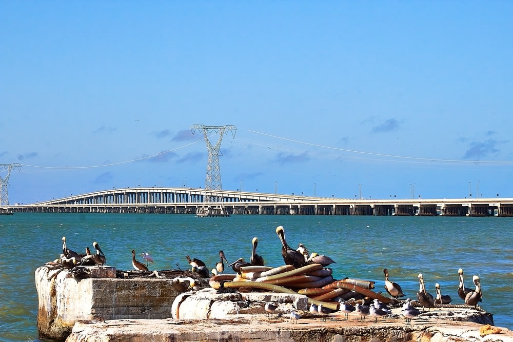 isla aguada campeche