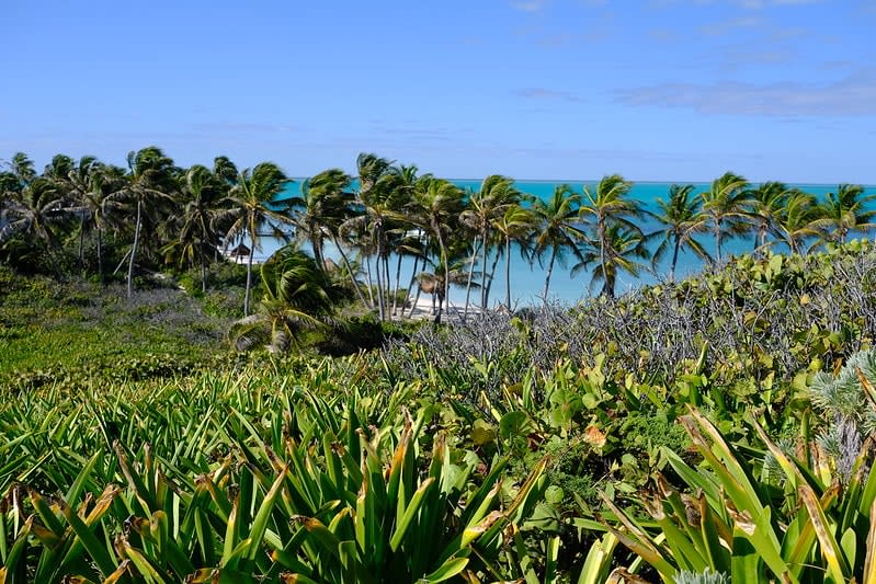 isla contoy — Isla Contoy Cancun Mexico