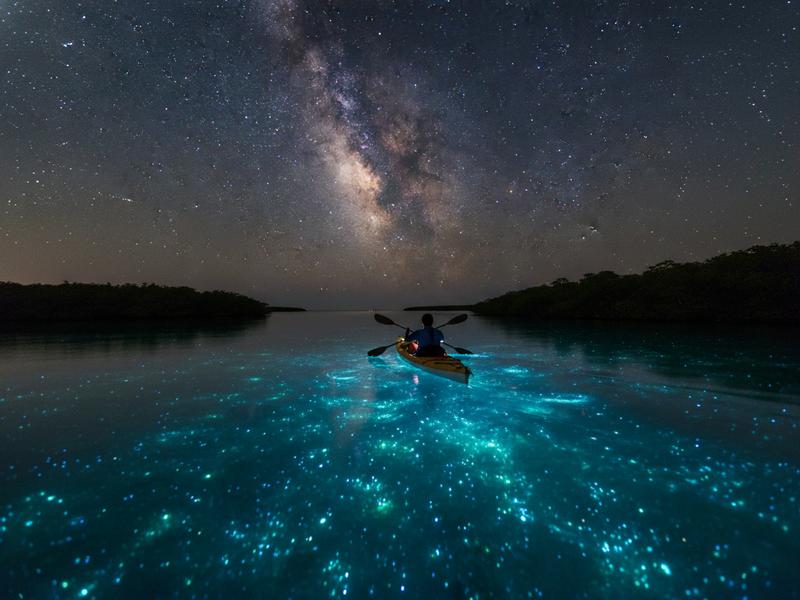 Kayakers paddling through bioluminescent waters at night near Holbox Island