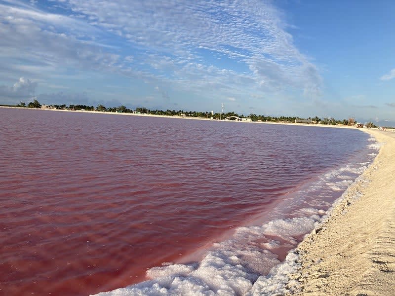 las coloradas yucatan mexico pink lake