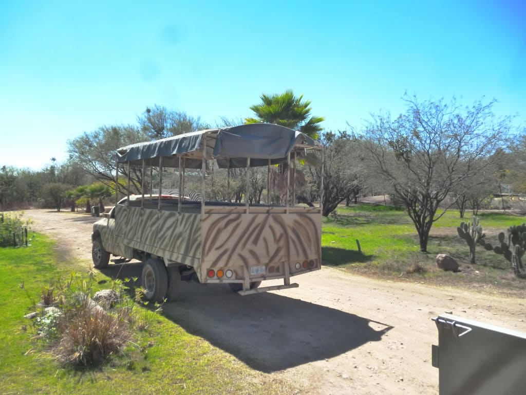 leon mexico — León, Guanajuato — Mexico's leather and shoe capital