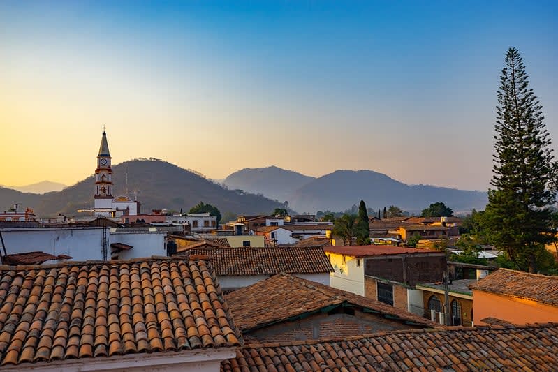 mascota jalisco mexico