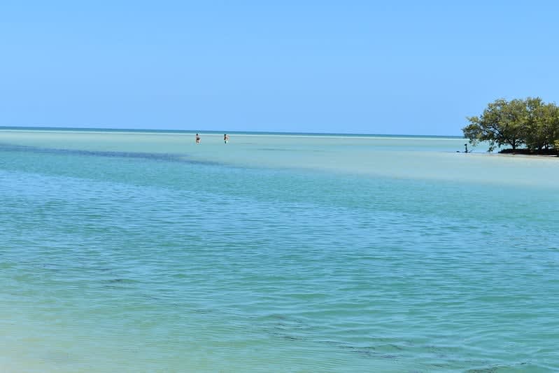 maya train — Maya Train Route And Guide