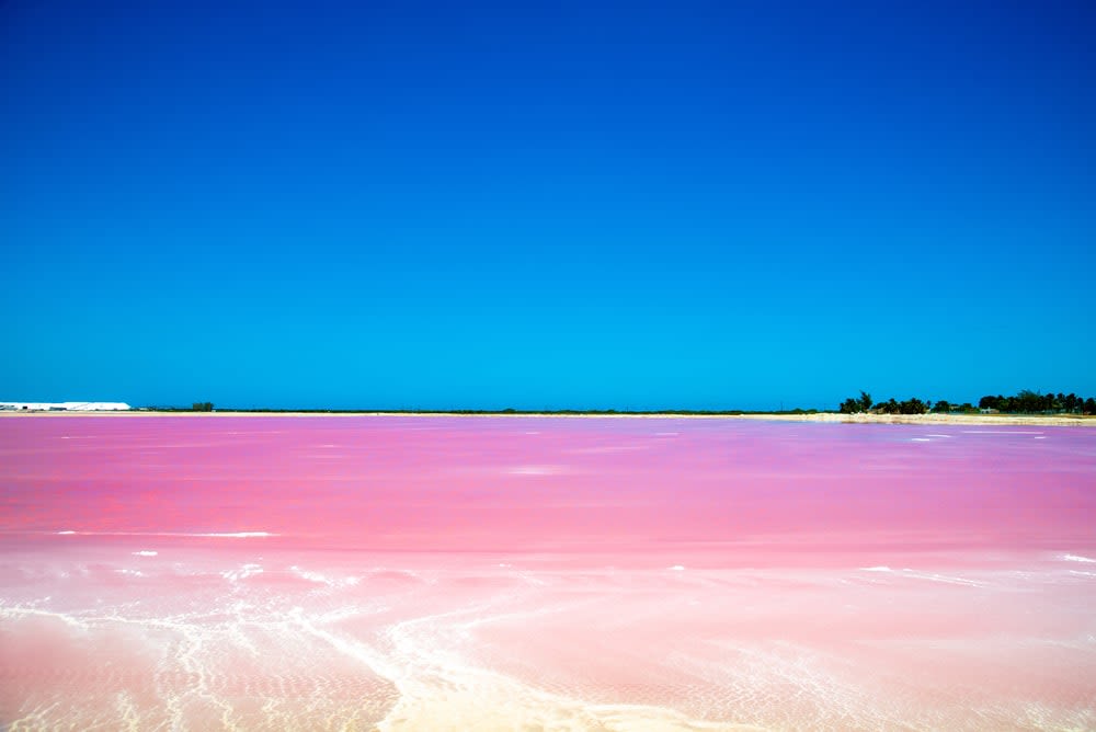 vamonos to mexico — Mayan Route